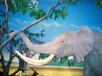 photos 2000-200901015